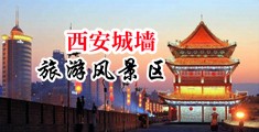 成年人啊啊啊爽中国陕西-西安城墙旅游风景区